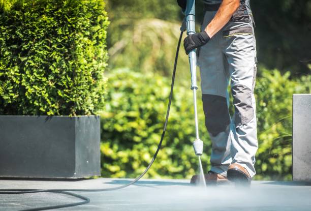 Best Roof Washing  in Neptune City, NJ